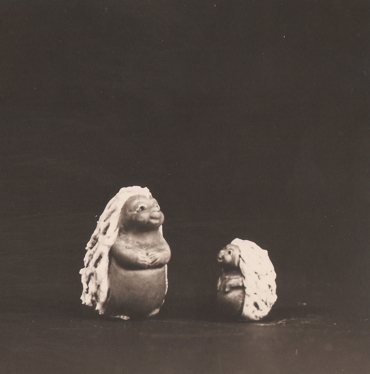 34 - Siilit